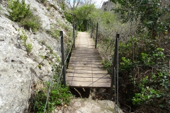 DSC00115