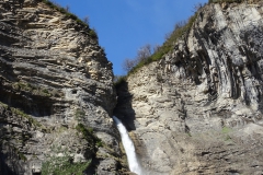 DSC00184