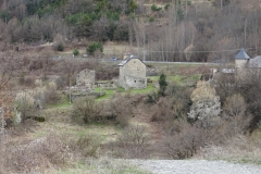 DSC00206