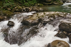 P_20160626_114850_HDR