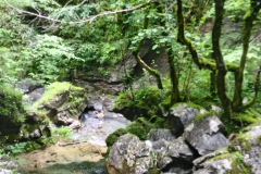 P_20160626_122654_HDR