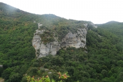 DSC01271