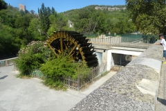 DSC01204 - Copie