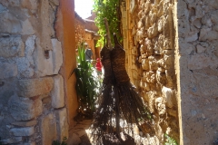 DSC01175 - Copie