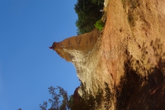 DSC01296