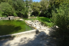 DSC01218 - Copie