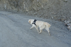 dsc01531