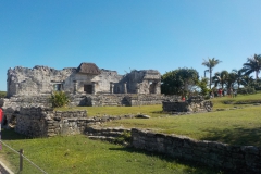 DSCN0061