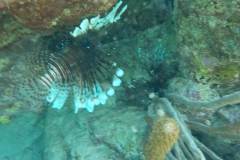 DSCN0129