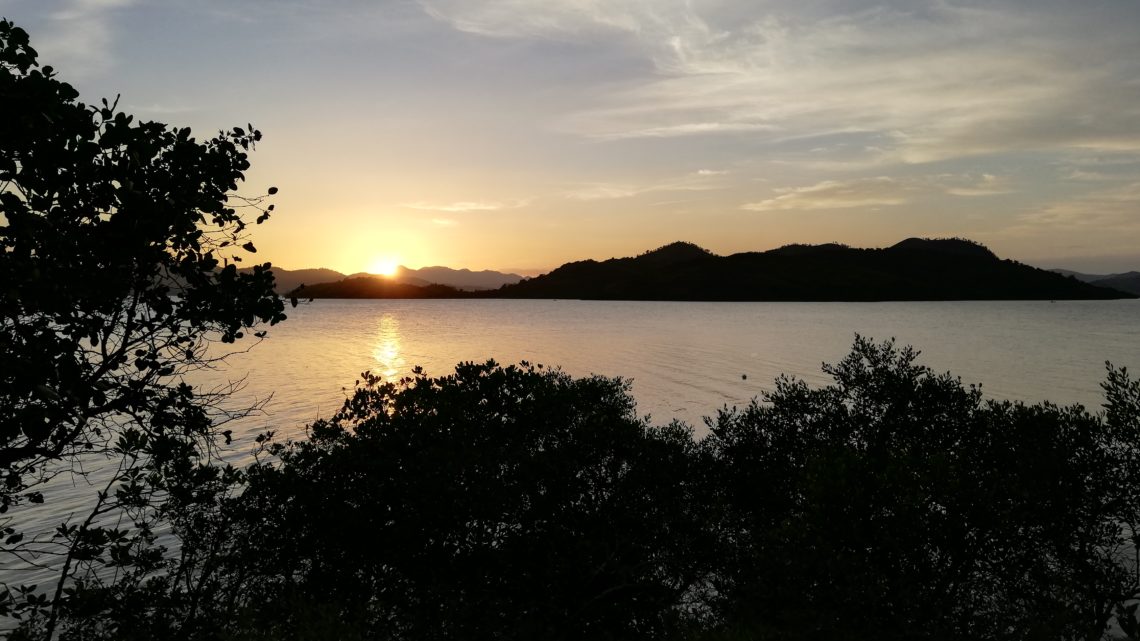 Coron