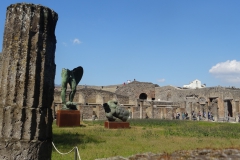 DSC00567