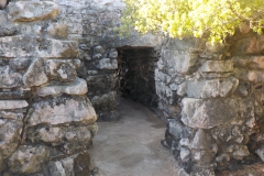 DSCN0021