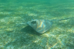 DSCN0157