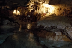 DSCN0464